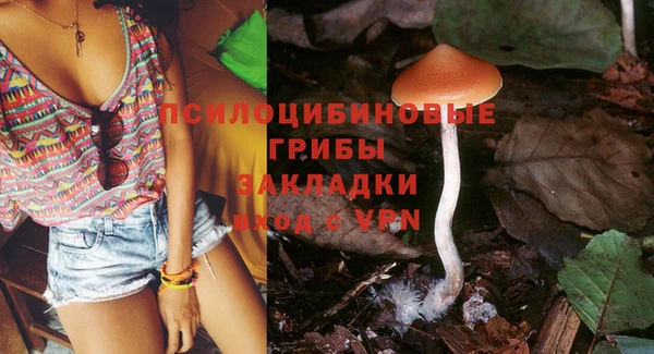 spice Дмитровск