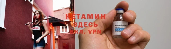 дмт Дмитриев