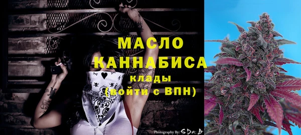 дмт Дмитриев