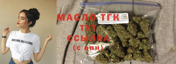 дмт Дмитриев