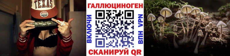 Псилоцибиновые грибы GOLDEN TEACHER  Прокопьевск 