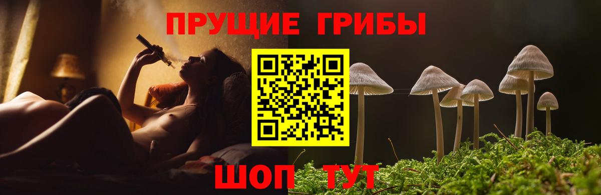 Галлюциногенные грибы MAGIC MUSHROOMS  Вход с VPN  Прокопьевск 